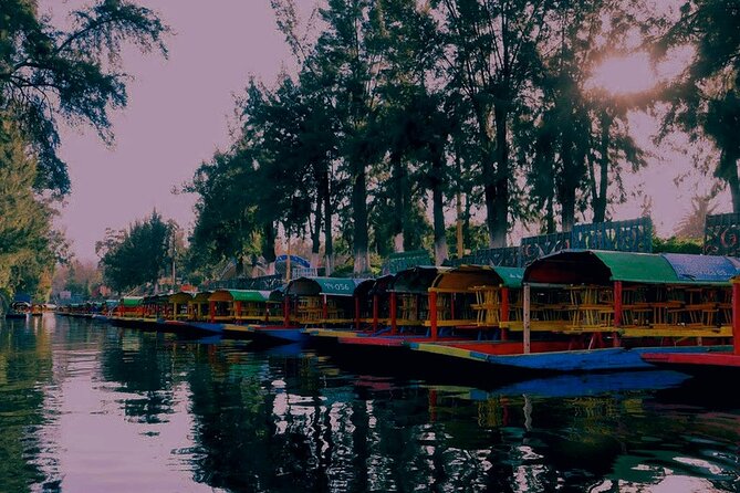 Trajinera Party at Xochimilco with Drinks, Mariachi & Snacks - Snacks and Food Reality: Included, but Think “Side”