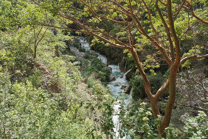 Travel to Tolantongo: Transportation and tickets - Your guide and driver can make the day feel easy