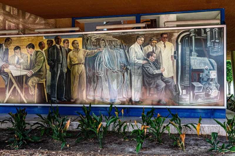 UNAM: Murals & Revolution - Campus mural walk, Siqueiros, O’Gorman, Chávez Morado, Eppens