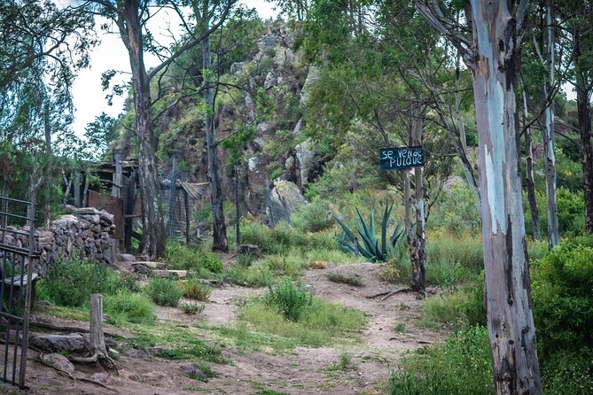 Unique cablecar experience, pulque tasting &unbeatable views - Pulque tasting at the mountain-top pulqueria: what to expect