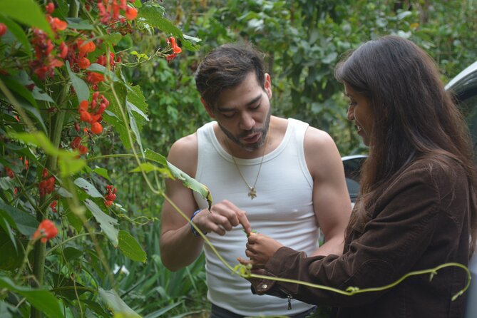 Urban Orchard in Desierto de los Leones in Mexico City - Why Desierto de los Leones Feels Like a City Escape
