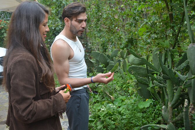 Urban Orchard in Desierto de los Leones in Mexico City - Exploring the Orchard With Ruben and David