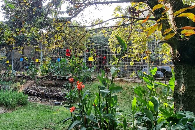 Urban Orchard in Desierto de los Leones in Mexico City - Hands-On Learning: Smell, Touch, Taste, and That Leaf Moment