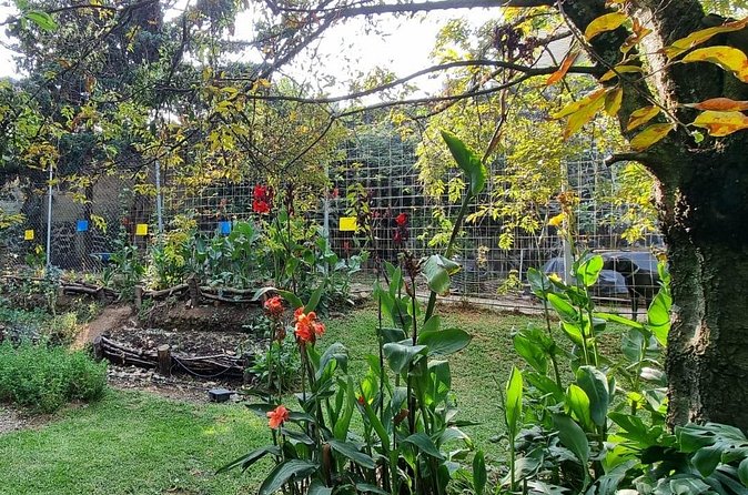 Urban Orchard in Desierto de los Leones in Mexico City - Sensory Moments That Make This Tour Stick