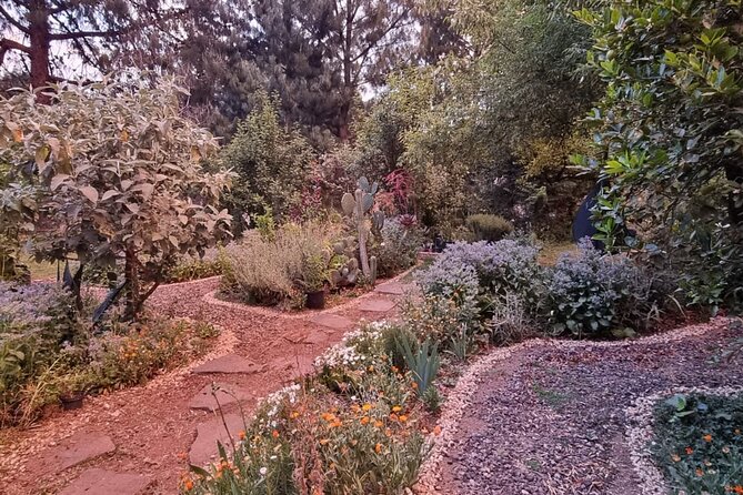 Urban Orchard in Desierto de los Leones in Mexico City - Getting There: The Meeting Point and the Ride Out