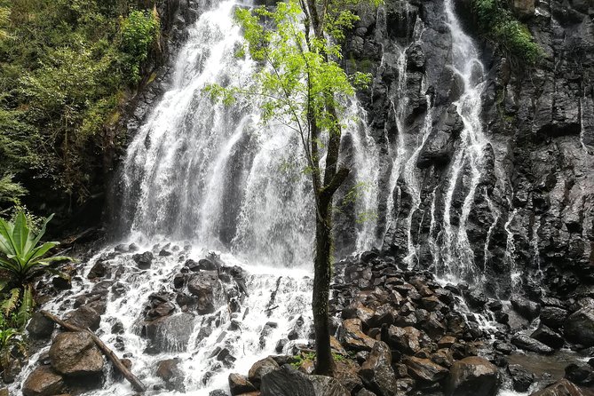 Valle de Bravo: Private & Small group tour from Mexico City - Price and logistics, including what your $139.51 covers