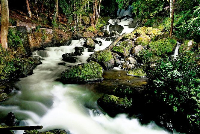 Valle de Bravo: Private & Small group tour from Mexico City - Guides and service you can feel in the details, Javier and Ulises