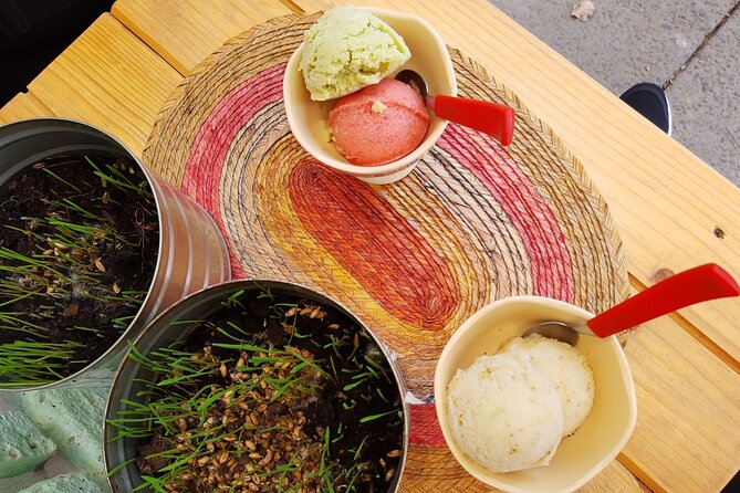 Vegan Food Tour in Mexico City: A Culinary Adventure - What to bring so the tour feels easy, not annoying