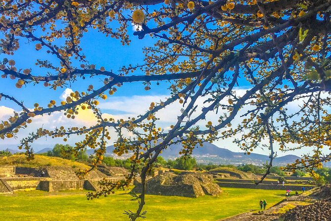 VIP Teotihuacan & Guadalupe Shrine Tour: A Journey Through Time - How the day flows: Teotihuacan first, Guadalupe second