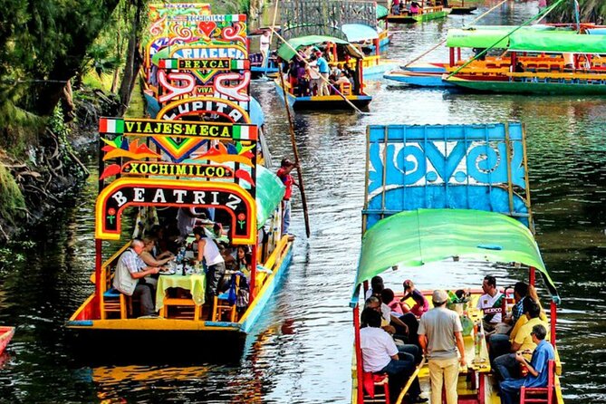 Visit to Xochimilco, Coyoacán and Ciudad Universitaria - Guide quality and the problem of English clarity