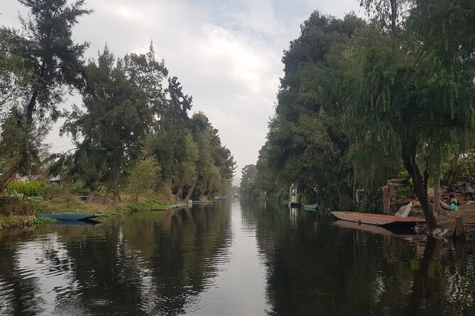 "Xochimilco: A Floating Mexican Fiesta" - Who this tour is perfect for (and who might want a different plan)