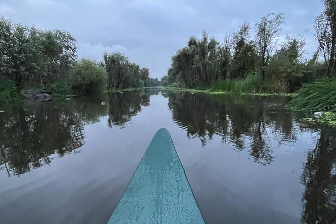 Xochimilco at dawn in Canoe or Kayak and Organic Breakfast - Value Check: Is $118.93 Worth It for This 5 to 6 Hour Morning?