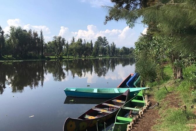 Xochimilco at dawn in Canoe or Kayak and Organic Breakfast - Who Should Book This Dawn Canoe and Organic Breakfast?