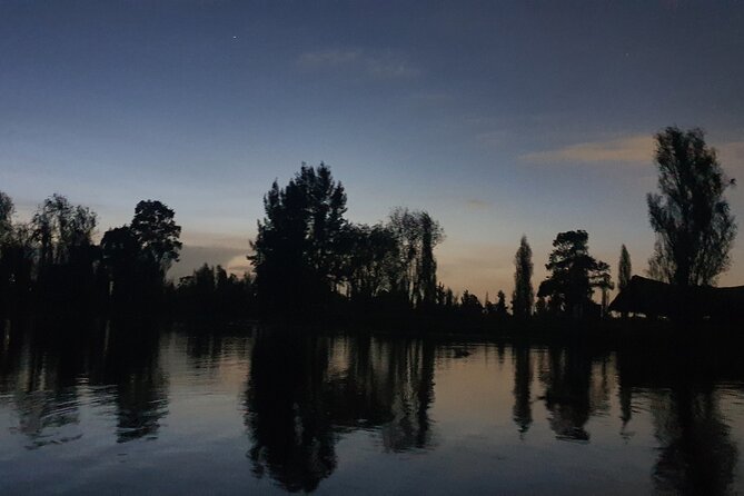 Xochimilco Barco Fiesta Tentacion 18+ with Open Bar and Tacos - Entering the Floating Gardens on a Party-Ready Tracjinera