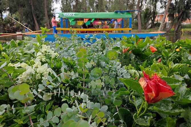 Xochimilco canals private tour with kayaks + boat - Practical planning tips that save you stress