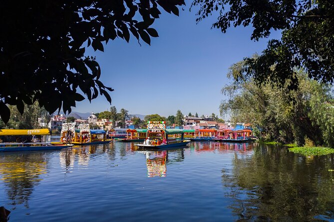 Xochimilco canals private tour with kayaks + boat - Stop 1: Xochimilco canals, coffee on board and kayak time you control