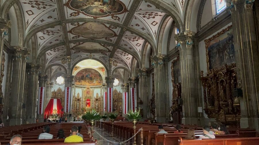 Xochimilco & Colonial Coyoacan Trip - Xochimilco UNESCO canals: your trajinera ride and what to expect