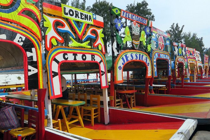 Xochimilco, Coyoacan and Frida Kahlo Museum Tour - The Big Picture: UNAM, Xochimilco, Coyoacán, and Frida Kahlo