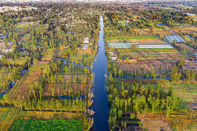 Xochimilco, Coyoacan and Frida Kahlo Museum Tour - Getting There Smoothly From Your Hotel Pickup