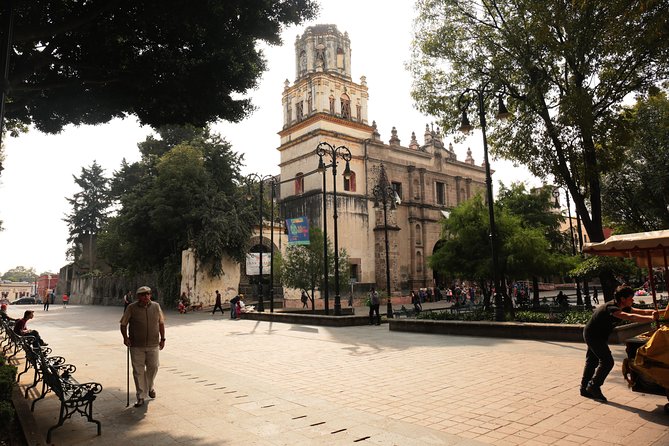 Xochimilco, Coyoacan and Frida Kahlo with Optional Lunch - Who this tour is best for, and when to choose something else