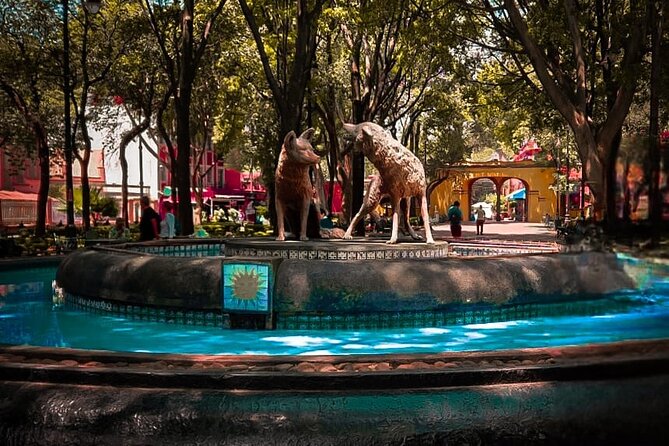 Xochimilco, Coyoacan and more tours - Coyoacan on foot: architecture, folklore, and why this stop matters