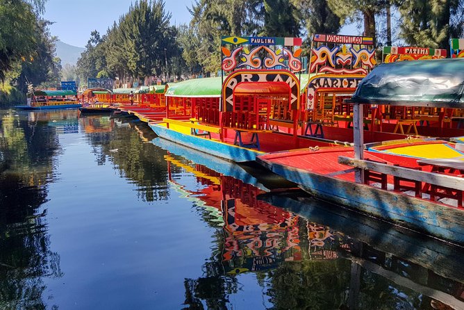 Xochimilco, Coyoacan, Aztec Stadium & UNAM - Price and Logistics: what $52.73 buys you