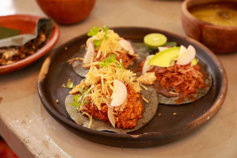 Xochimilco + Coyoacán Combo Full-Day Tour - Walking Coyoacán: the main square, coyotes, and a 16th-century cathedral