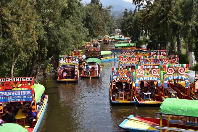 XOCHIMILCO & COYOACAN (Private) - Mexico City Traffic, Pickups, and Why Your Day Might Run Late