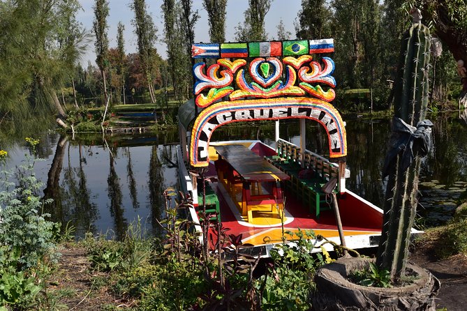 Xochimilco & Coyoacán Private Tour: Canals, Markets & Local Food - UNAM Central Library and Mexican Muralism, Without the Time Sink