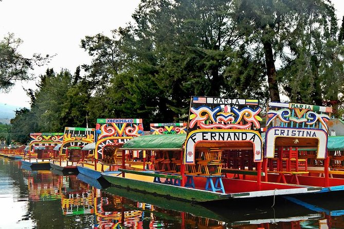 XOCHIMILCO & COYOACAN (Private) - Coyoacan Neighborhood Stop: A Taste of the Real Everyday City