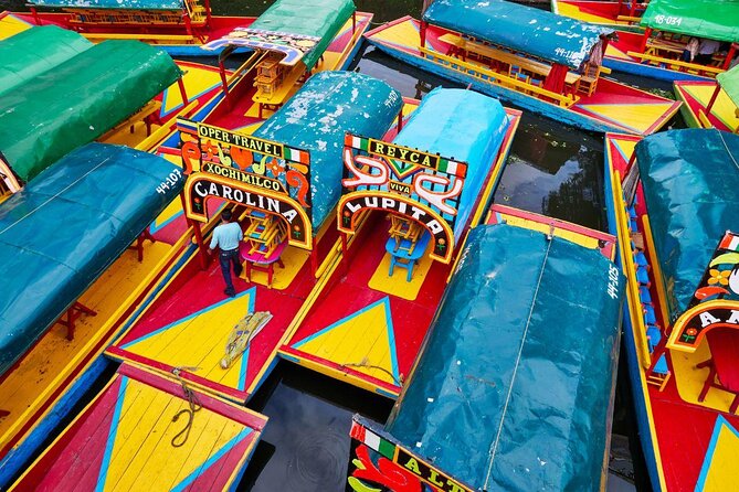 Xochimilco - Coyoacan Tour - Key highlights that matter in real life