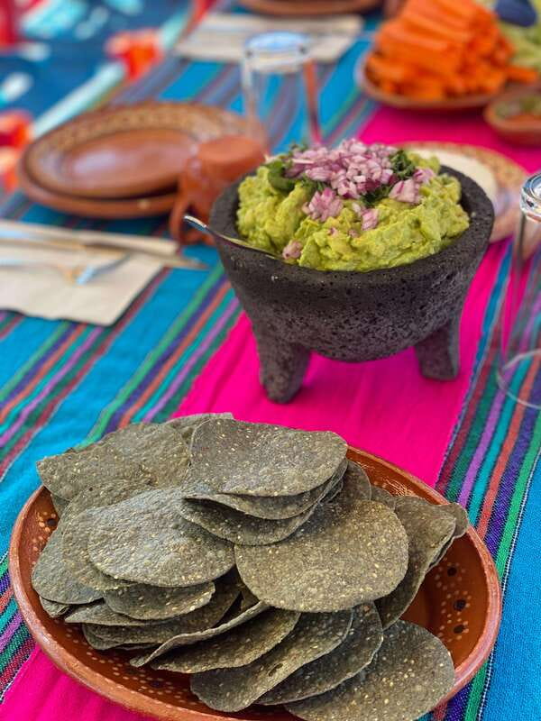 Xochimilco: Eco Tour With Food - Chinampas: the living system behind the floating gardens