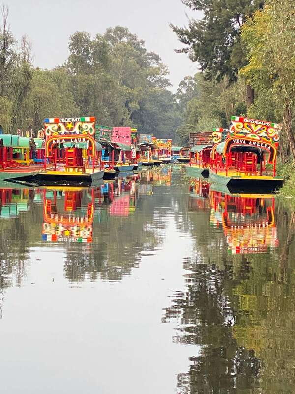 Xochimilco: Eco Tour With Food - Who this tour suits best