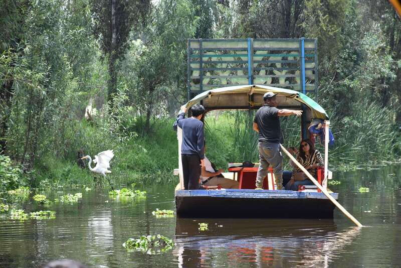 Xochimilco Ecological Tour – Away From the Crowds (3 Hours) - Xochimilco, but the quiet way: no party-boat chaos