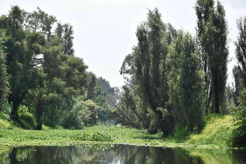 Xochimilco Ecological Tour – Away From the Crowds (3 Hours) - The boat ride through calm canals and UNESCO waters