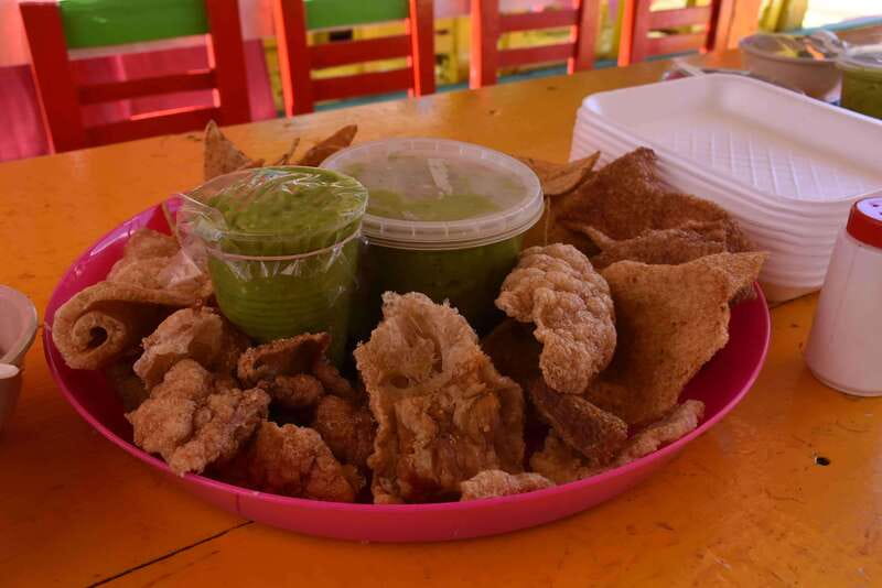 Xochimilco Ecological Tour – Away From the Crowds (3 Hours) - Chinampas and native flora: what your guide helps you notice