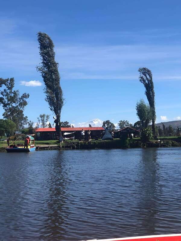 Xochimilco Ecological Tour – Away From the Crowds (3 Hours) - The axolotl sanctuary stop: a rare look at an endangered icon