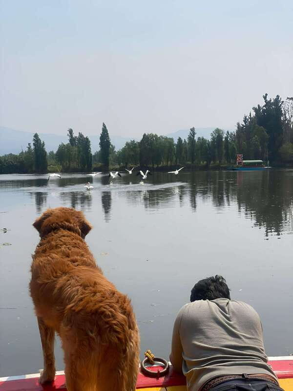 Xochimilco Ecological Tour – Away From the Crowds (3 Hours) - Food and drink on the water: classic snacks, no fuss