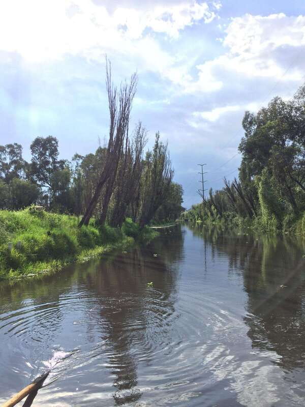 Xochimilco Ecological Tour – Away From the Crowds (3 Hours) - Price and value: $355 per group, up to 6 people