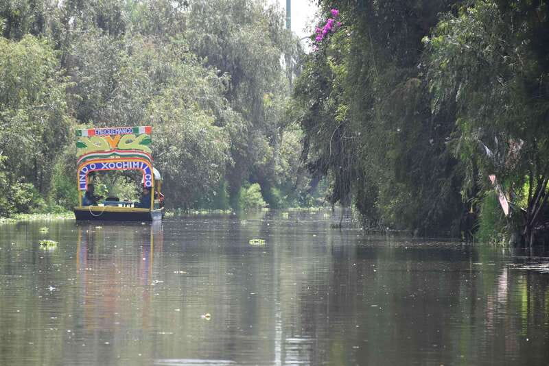 Xochimilco Ecological Tour – Away From the Crowds (3 Hours) - Cuemanco Pier logistics, and what happens before you float