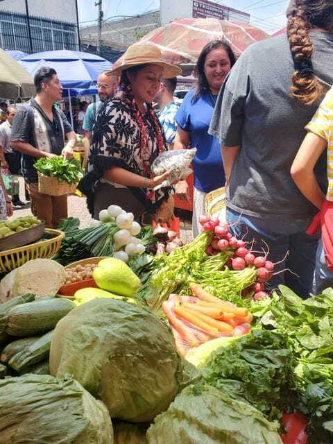Xochimilco: Market, Food and Nature ¡All included! Tour - Axolotl sanctuary: endangered up close, with a respectful focus