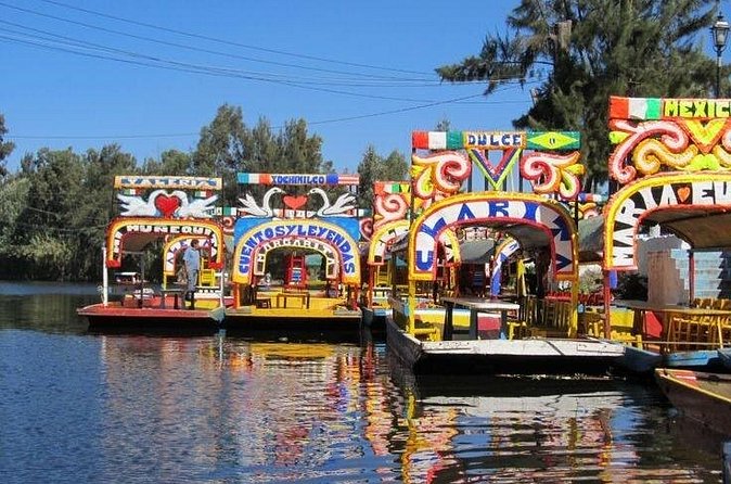 Xochimilco + Museo Anahuacalli (add-on) PET-FRIENDLY - Price and value: what you get for $160