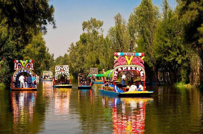 Xochimilco + Museo Anahuacalli (add-on) PET-FRIENDLY - Pet-friendly and practical for different kinds of groups