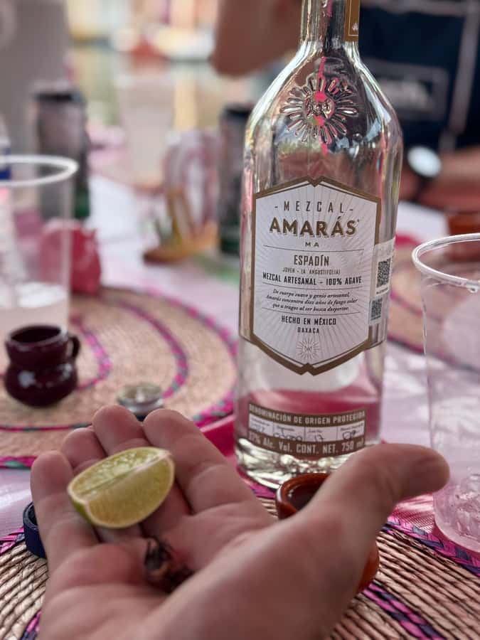 Xochimilco's Wild Side: Mezcal, Insects & Culture - Games, slang, and the social side of CDMX
