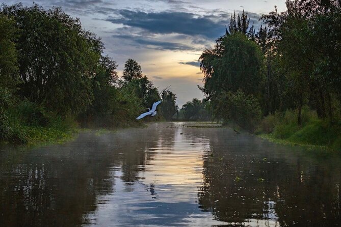 Xochimilco Sunrise from Mexico - Quick hits before you go