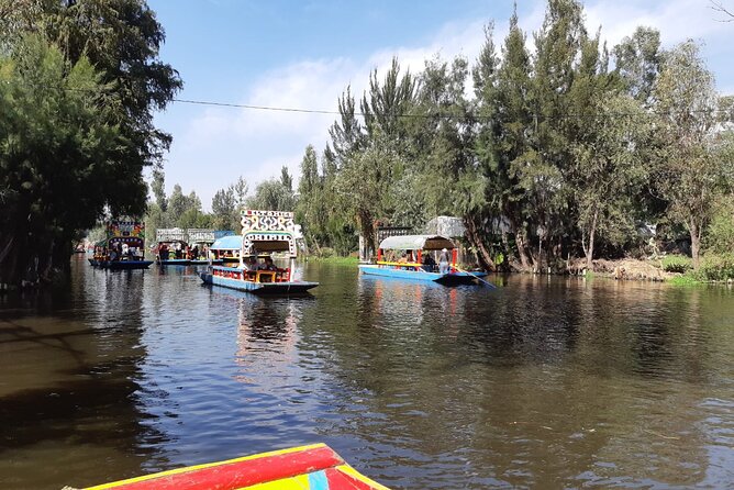 Xochimilco Tour - Price and logistics: what $59.65 buys you